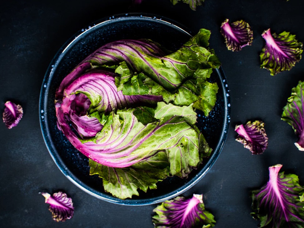 Overhead view of a bowl of purple and green lettuce