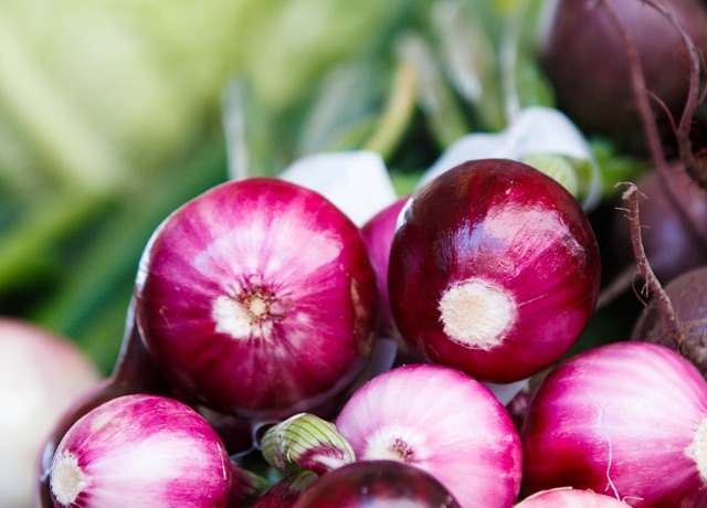 Close up bottom view of a bunch of radishes